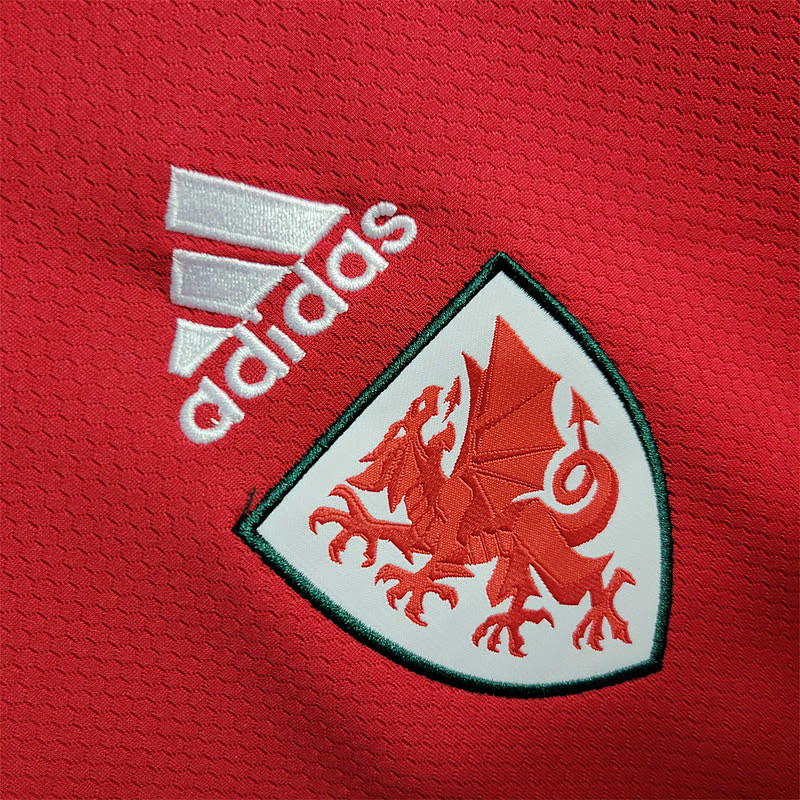 Galles Wales home 6