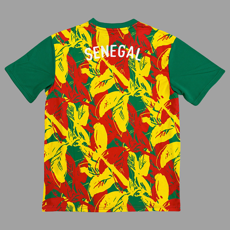 Senegal Senegal Pre-Match Jersey 2