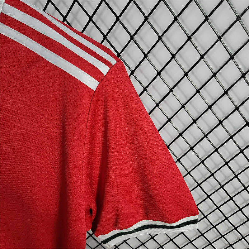 Galles Wales home 9