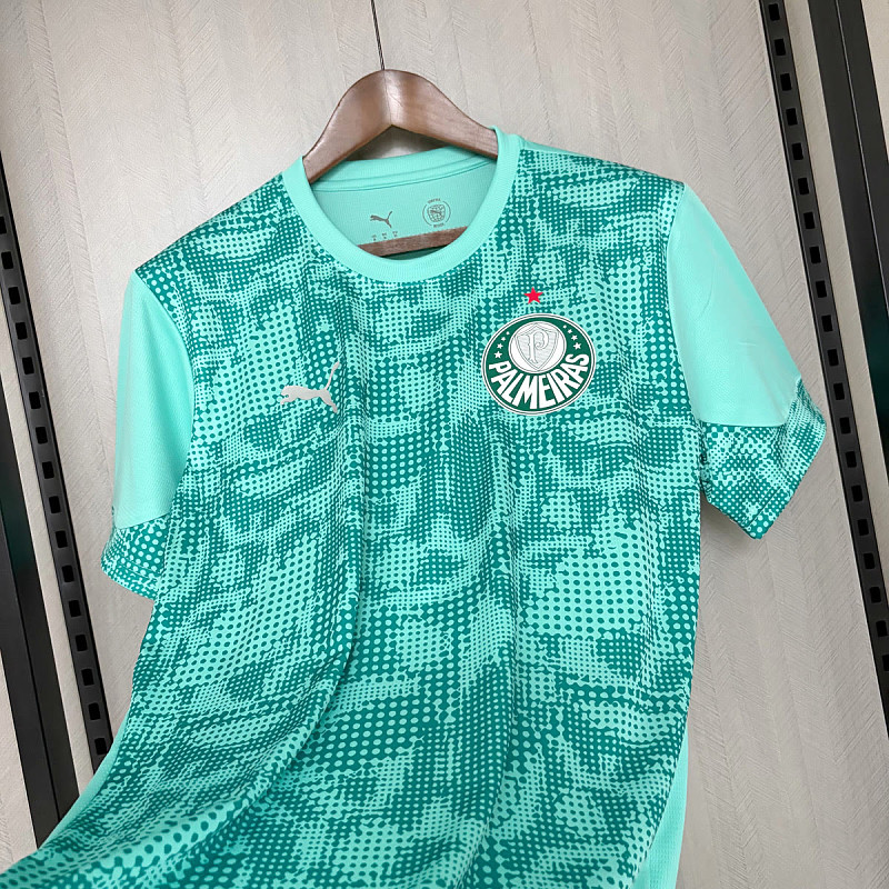 Palmeiras Palmeiras Training 6