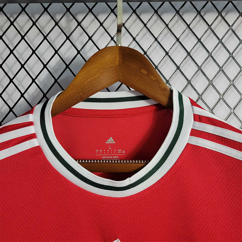 Galles Wales home 3