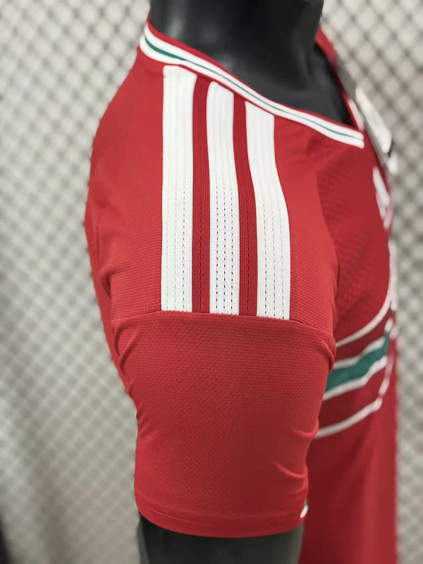 Galles Wales Home Player 7