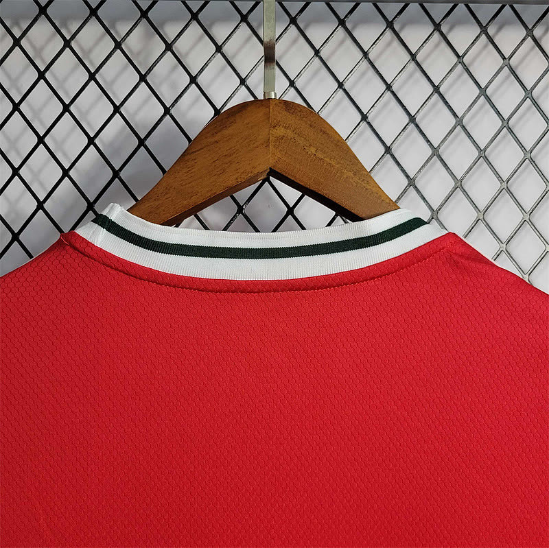 Galles Wales home 10