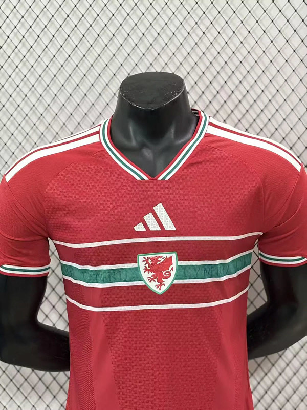 Galles Wales Home Player 8