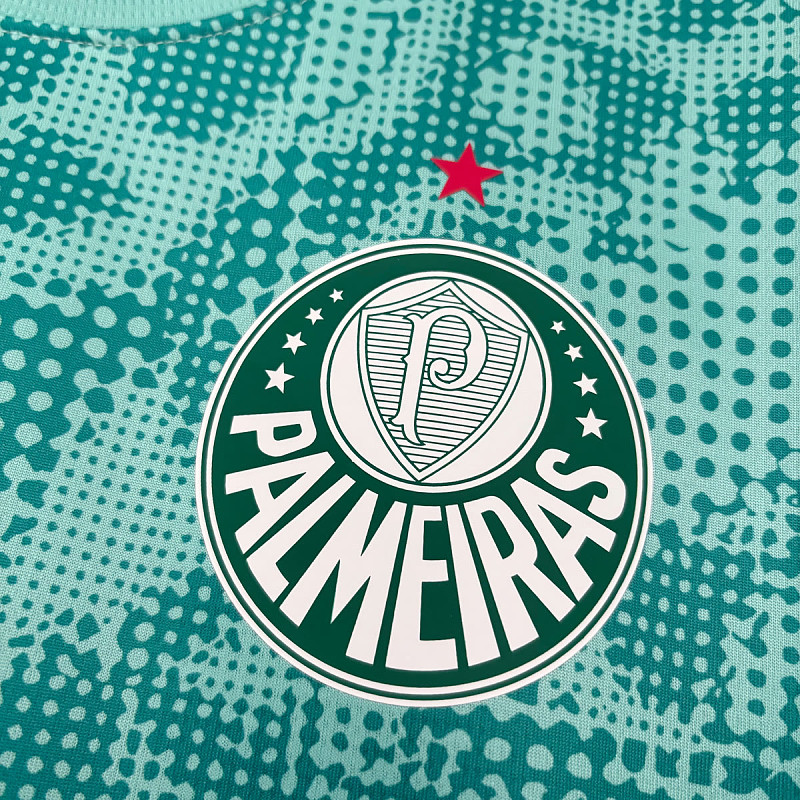 Palmeiras Palmeiras Training 8