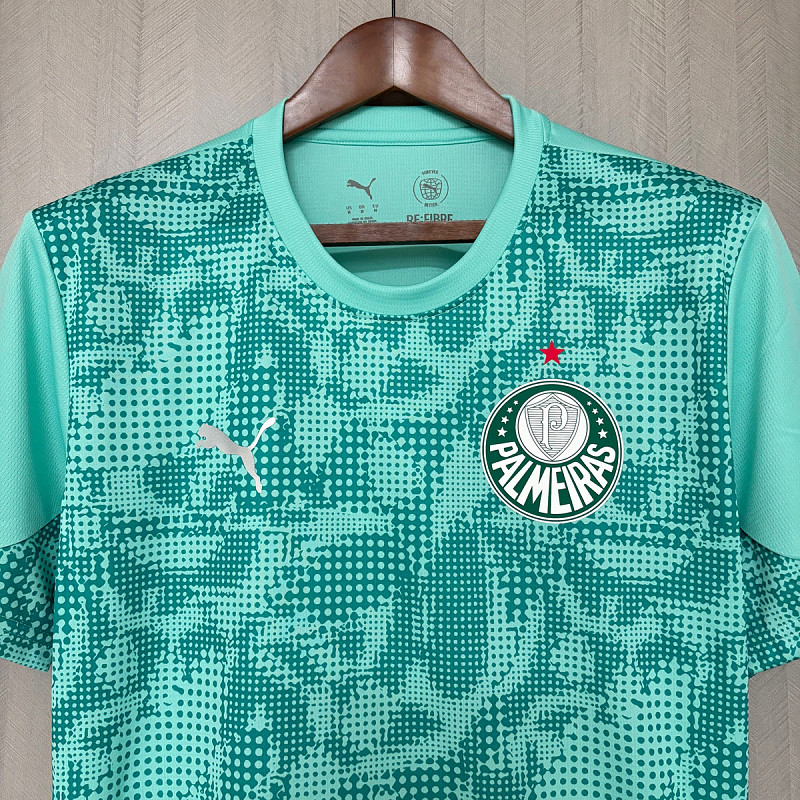 Palmeiras Palmeiras Training 9
