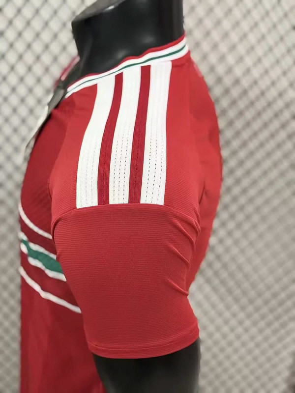 Galles Wales Home Player 6