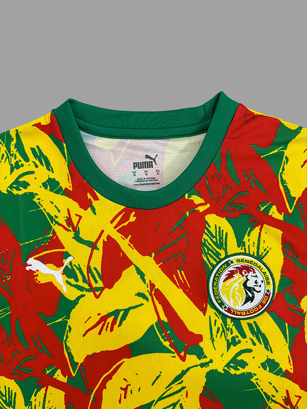 Senegal Senegal Pre-Match Jersey 3