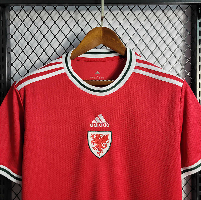 Galles Wales home 7