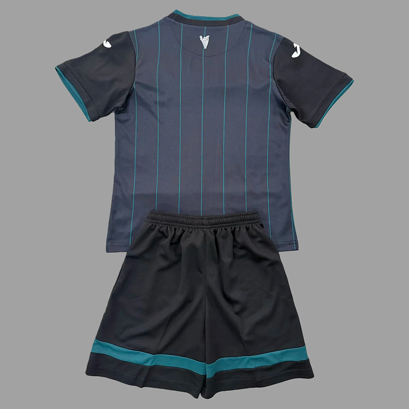 Hibernian Soccer 25/26 Hibernian Third Kids Size 16-28 2