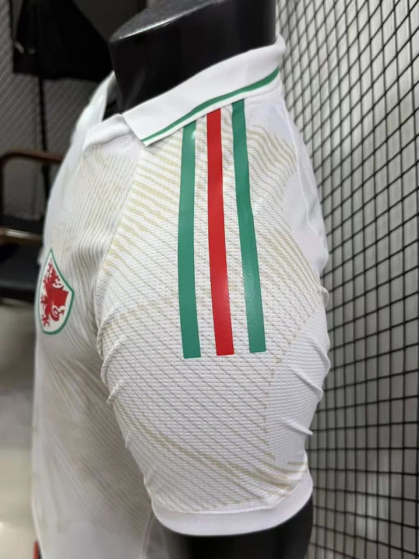 Galles Wales Away Player 5