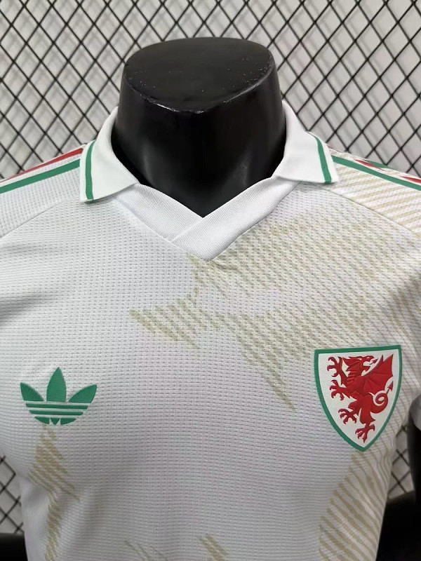 Galles Wales Away Player 9