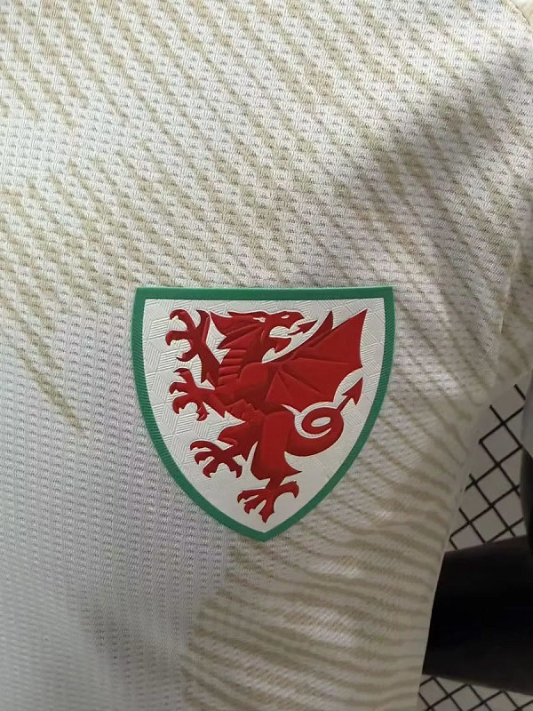 Galles Wales Away Player 7