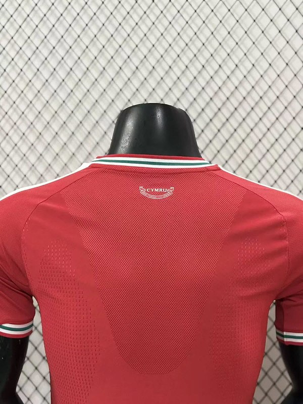 Galles Wales Home Player 3