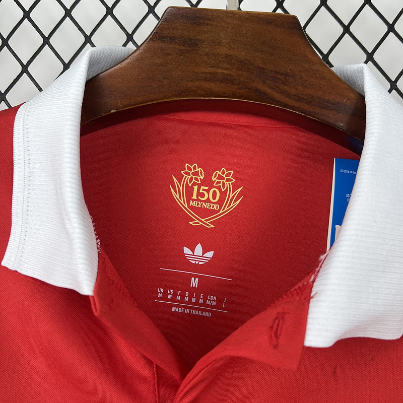 Galles Wales 150 Years Anniversary 9