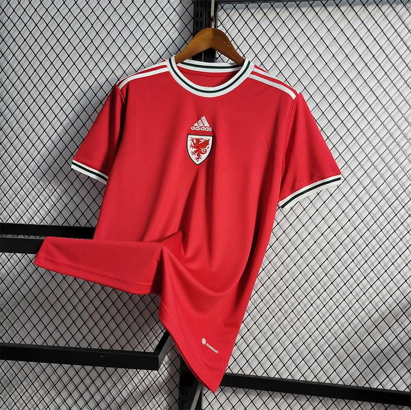 Galles Wales home 5